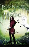 Remnants of Magic (The Wielder and Her Guardian, #1) (eBook, ePUB)