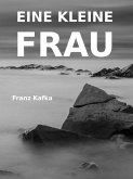 Eine kleine Frau (eBook, ePUB)