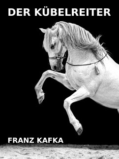 Der Kübelreiter (eBook, ePUB) - Kafka, Franz