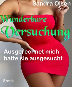 Wunderbare Versuchung (eBook, ePUB) - Olsen, Sandra