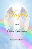 Angels and Other Wonders (eBook, ePUB)