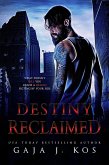 Destiny Reclaimed (eBook, ePUB)