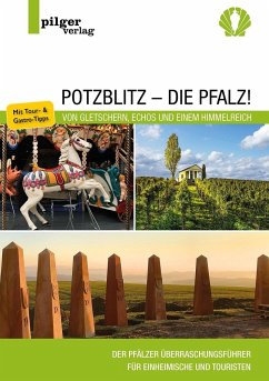 Potzblitz - die Pfalz! - Schlicher, Rolf