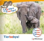 Lesestart mit Eberhart: Tierbabys!