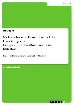 Nicht-technische Hemmnisse bei der Umsetzung von Energieeffizienzmaßnahmen in der Industrie (eBook, PDF)