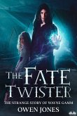 Fate Twister (eBook, ePUB)