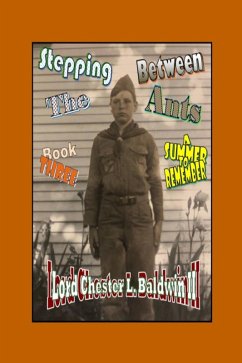 Stepping Between The Ants - Book THREE: A Summer To Remember (eBook, ePUB) - Ii, Lord Chester L. Baldwin