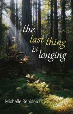 The Last Thing Is Longing (eBook, ePUB)