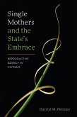 Single Mothers and the State's Embrace (eBook, PDF)