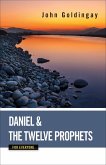 Daniel and the Twelve Prophets for Everyone (eBook, ePUB)