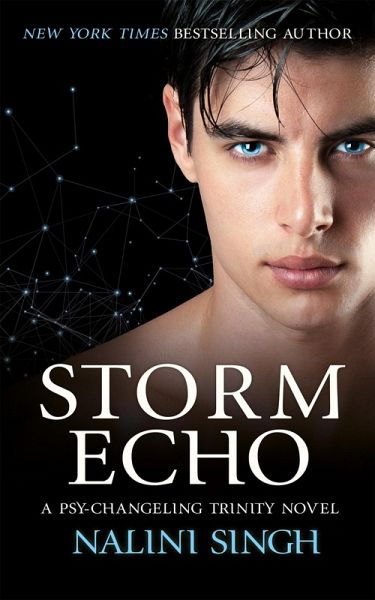 Storm Echo (eBook, ePUB)