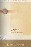 Calvin (eBook, ePUB)