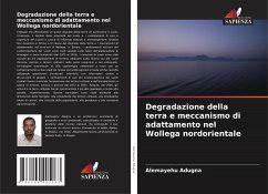 Degradazione della terra e meccanismo di adattamento nel Wollega nordorientale - Adugna, Alemayehu