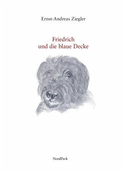 Friedrich und die blaue Decke - Ziegler, Ernst-Andreas