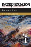 Lamentations (eBook, ePUB)