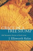 Grace in a Tree Stump (eBook, ePUB)