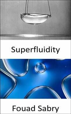 Superfluidity (eBook, ePUB) - Sabry, Fouad