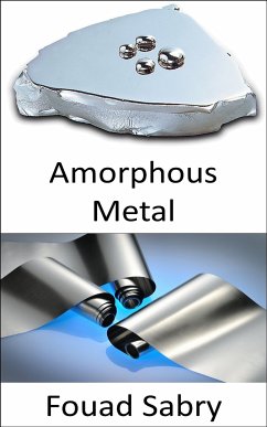 Amorphous Metal (eBook, ePUB) - Sabry, Fouad