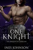 One Knight (eBook, ePUB)