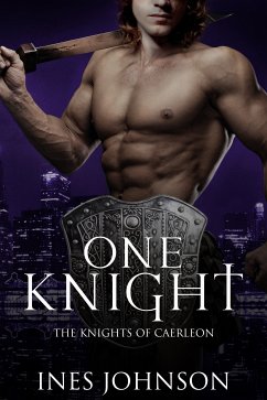 One Knight (eBook, ePUB) - Johnson, Ines