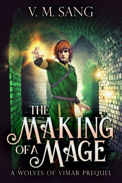 The Making Of A Mage (eBook, ePUB) - Sang, V.M.