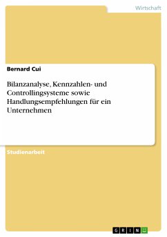 Bilanzanalyse, Kennzahlen- und Controllingsysteme sowie Handlungsempfehlungen für ein Unternehmen (eBook, PDF) - Cui, Bernard