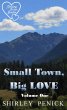 Small Town, Big Love (Reading Order... - Bild 1