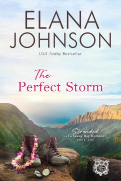 Cover The Perfect Storm (Stranded in Getaway Bay® Romance, #1) (eBook, ePUB)