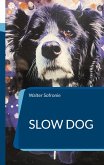 Slow Dog (eBook, ePUB)