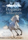 Die Pegasus-Schwestern (1) (eBook, ePUB)