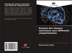 Analyse des réseaux neuronaux sous différents comportements - Javan Amoli, Alireza