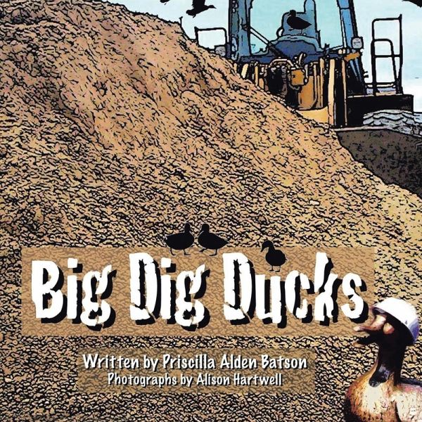Big Dig Ducks Big Dig Ducks