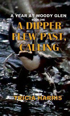 A Dipper Flew Past, Calling - Harris, Tricia