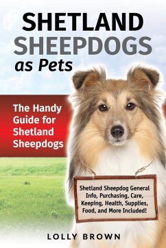 Shetland Sheepdogs as Pets - Brown, Lolly