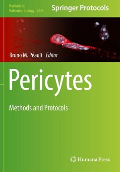 Cover Pericytes