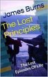 The Lost Principles (eBook, ePUB) - Bild 1