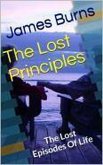 The Lost Principles (eBook, ePUB)