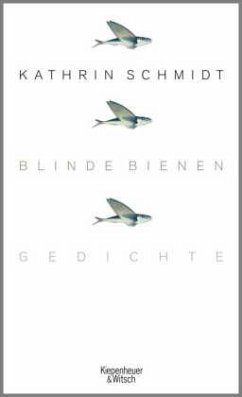 Cover Blinde Bienen  (Mängelexemplar)