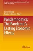 Pandemnomics: The Pandemic's Lasting Economic Effects (eBook, PDF)