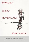 Space/Gap/Interval/Distance (Sixteen Rivers Press) (eBook, ePUB)