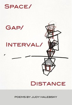 Space/Gap/Interval/Distance (Sixteen Rivers Press) (eBook, ePUB) - Halebsky, Judy