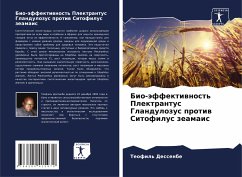 Cover Bio-äffektiwnost' Plektrantus Glandulozus protiw Sitofilus zeamais