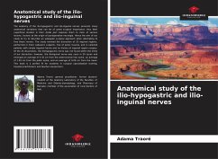 Anatomical study of the ilio-hypogastric and ilio-inguinal nerves - Traore, Adama;Ongoïba, Nouhoum;Ba, Abou Baye