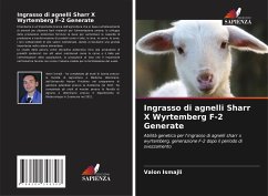 Ingrasso di agnelli Sharr X Wyrtemberg F-2 Generate - Ismajli, Valon