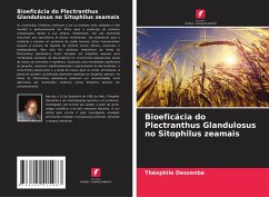 Bioeficácia do Plectranthus Glandulosus no Sitophilus zeamais - Dessenbe, Théophile;Nukenine N., Elias;Laba, Christophe