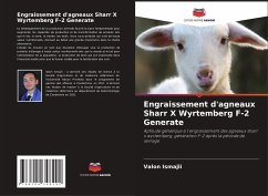 Engraissement d'agneaux Sharr X Wyrtemberg F-2 Generate - Ismajli, Valon