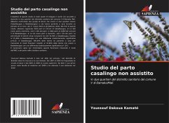 Cover Studio del parto casalingo non assistito