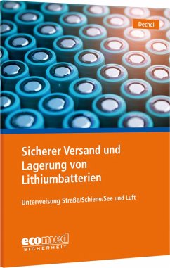 Sicherer Versand und Lagerung von Lithiumbatterien - Dechel, Nicole