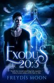 Exodus 20:3 (eBook, ePUB)