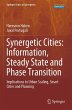 Synergetic Cities: Information, Steady... - Bild 1